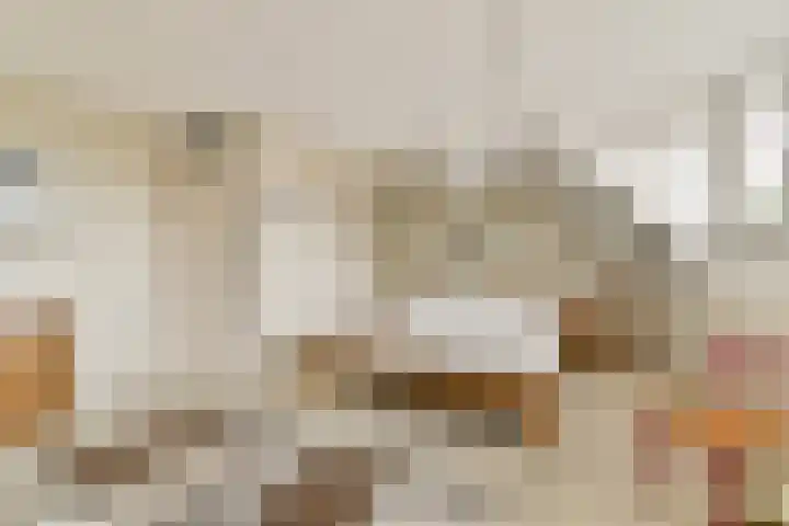 Nieuwe Wetering 66 Hoogvliet Rotterdam thumbnail 17