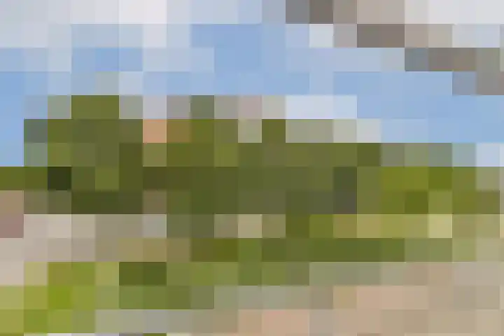 Nieuwe Wetering 66 Hoogvliet Rotterdam thumbnail 27