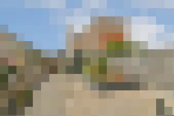 Nieuwe Wetering 66 Hoogvliet Rotterdam thumbnail 28