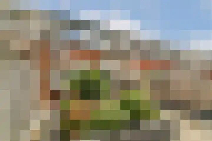 Nieuwe Wetering 66 Hoogvliet Rotterdam thumbnail 29