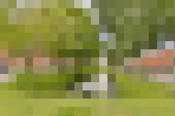 Nieuwe Wetering 66 Hoogvliet Rotterdam thumbnail 33