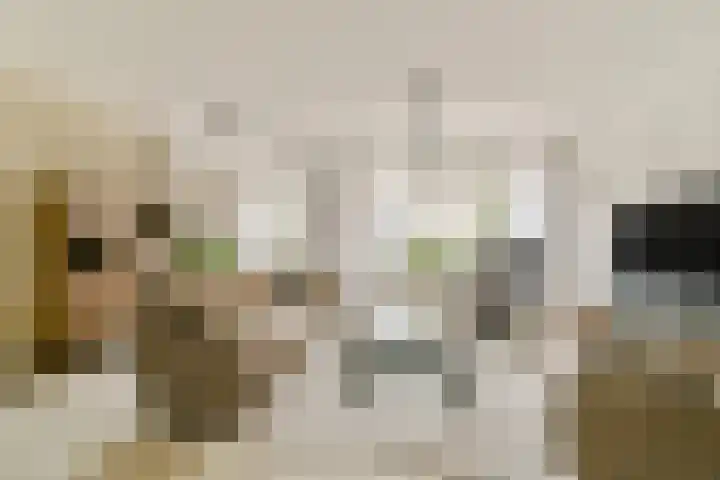 Nieuwe Wetering 66 Hoogvliet Rotterdam thumbnail 8