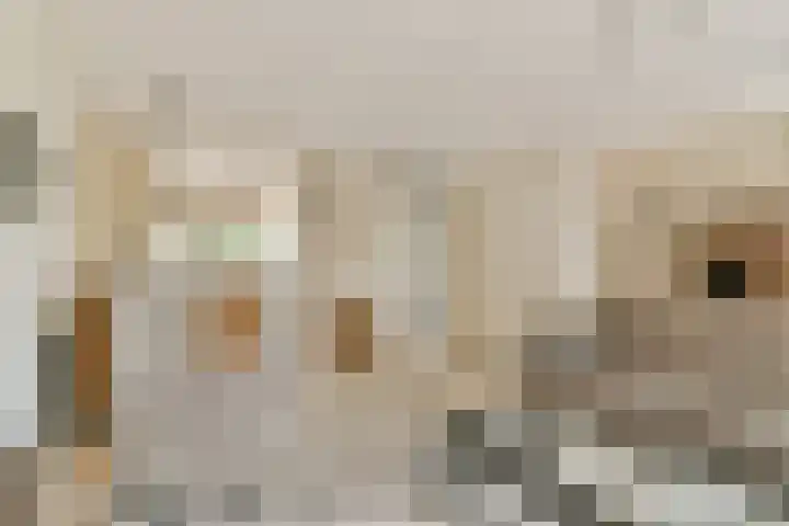 Nieuwe Wetering 66 Hoogvliet Rotterdam thumbnail 9