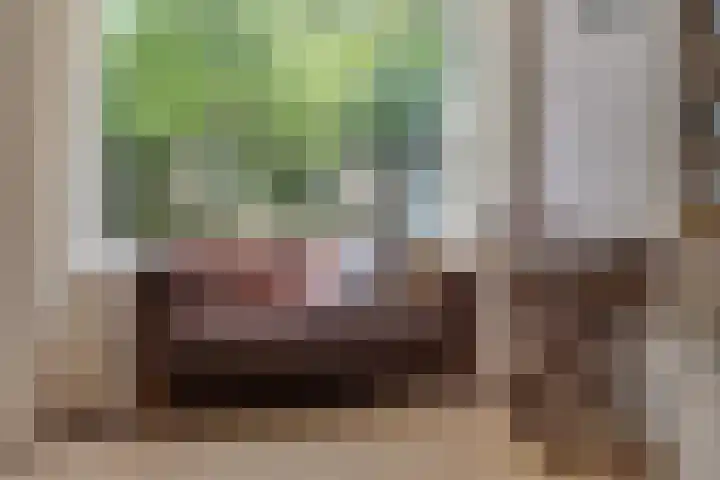 Nieuwe Weteringseweg 189 Groenekan thumbnail 13
