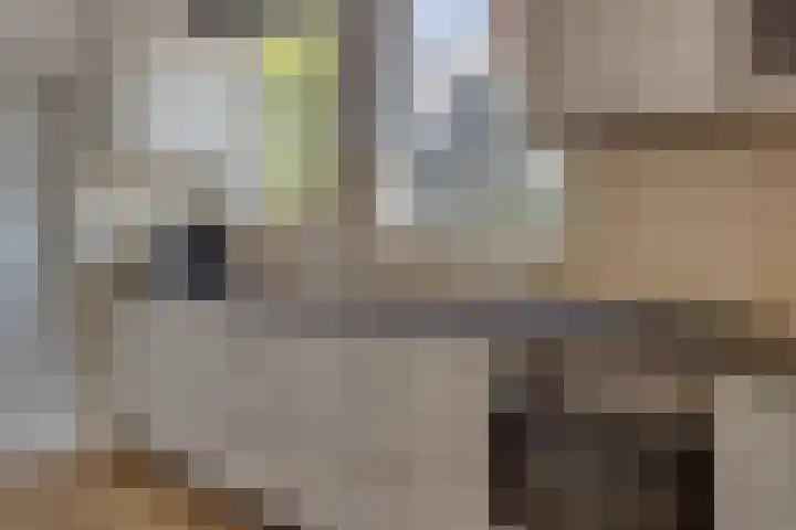 Nieuwe Weteringseweg 189 Groenekan thumbnail 16