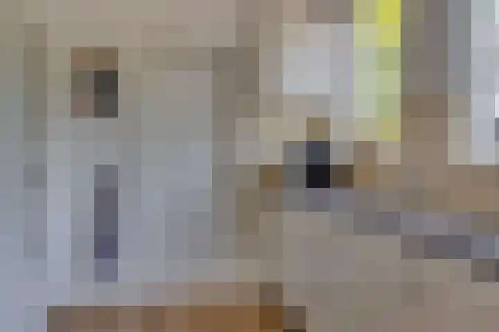 Nieuwe Weteringseweg 189 Groenekan thumbnail 17
