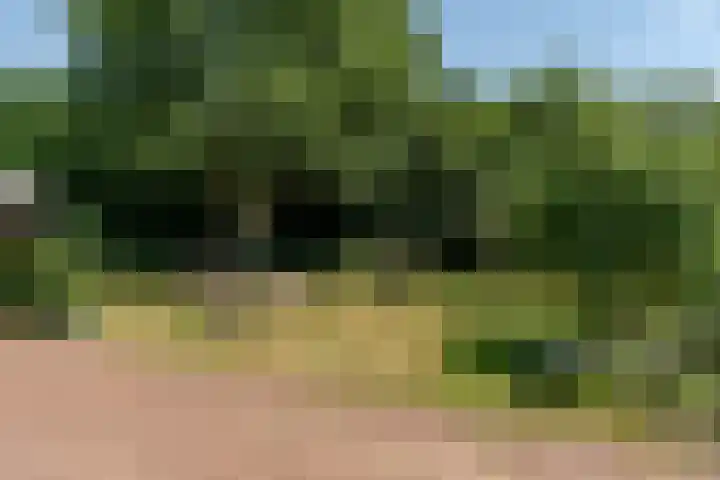 Nieuwe Weteringseweg 189 Groenekan thumbnail 19