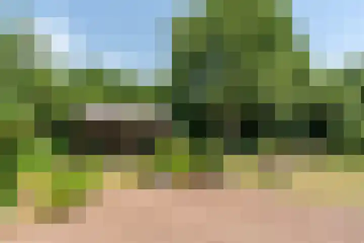 Nieuwe Weteringseweg 189 Groenekan thumbnail 20