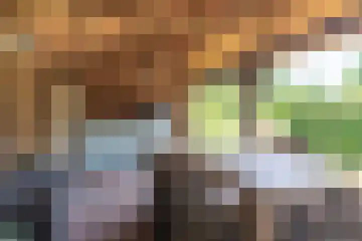 Nieuwe Weteringseweg 189 Groenekan thumbnail 21