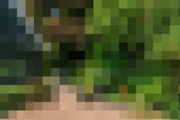 Nieuwe Weteringseweg 189 Groenekan thumbnail 22