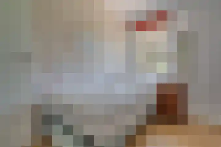 Nieuwe Weteringseweg 189 Groenekan thumbnail 33