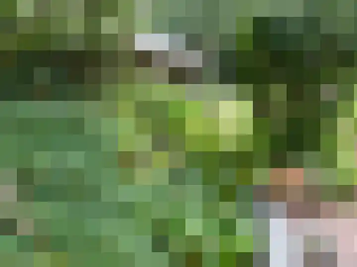 Nieuwe Weteringseweg 189 Groenekan thumbnail 38