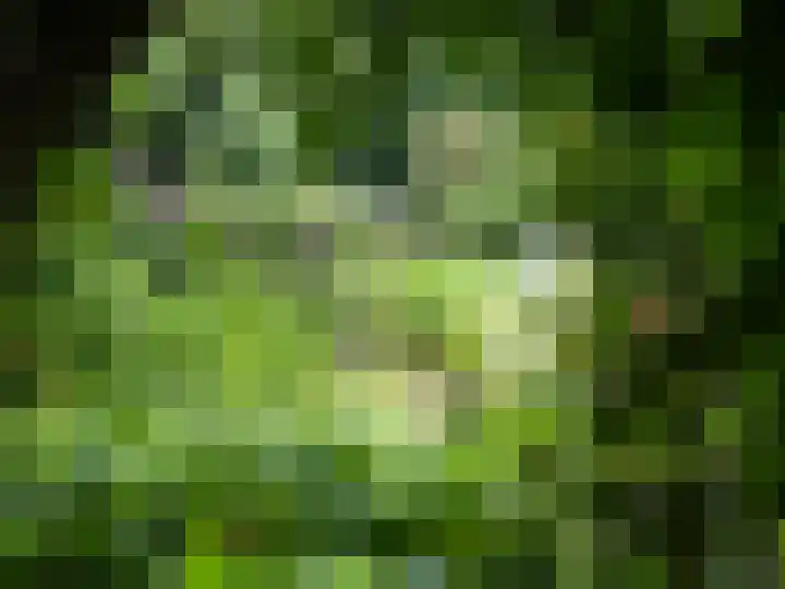 Nieuwe Weteringseweg 189 Groenekan thumbnail 39