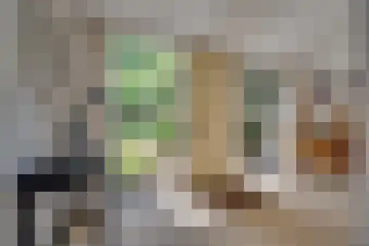 Nieuwe Weteringseweg 189 Groenekan thumbnail 4