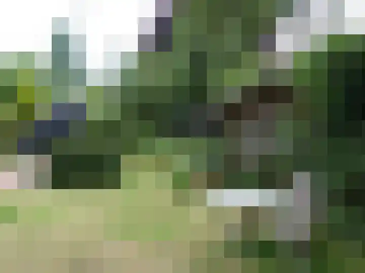 Nieuwe Weteringseweg 189 Groenekan thumbnail 40