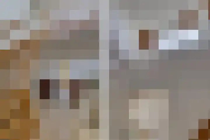 Nieuwe Weteringseweg 189 Groenekan thumbnail 7