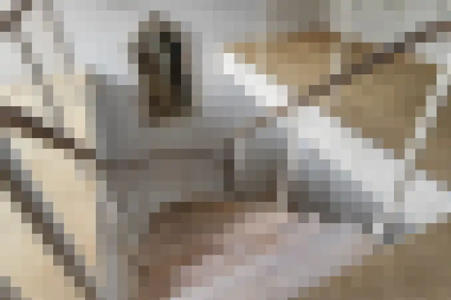 Nieuwe Weteringseweg 68 Groenekan thumbnail 23