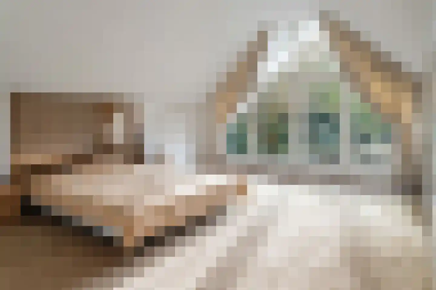Nieuwe Weteringseweg 68 Groenekan thumbnail 26