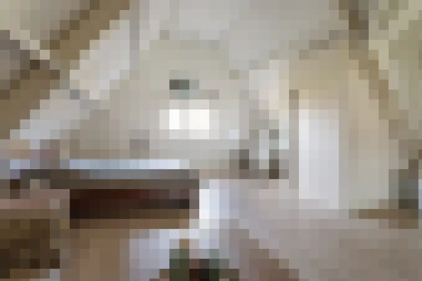 Nieuwe Weteringseweg 68 Groenekan thumbnail 35