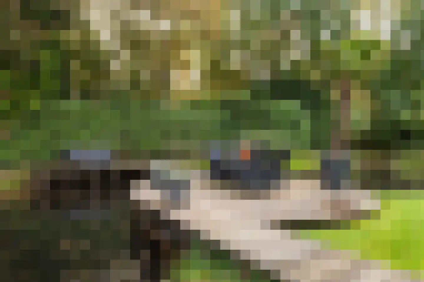 Nieuwe Weteringseweg 68 Groenekan thumbnail 47