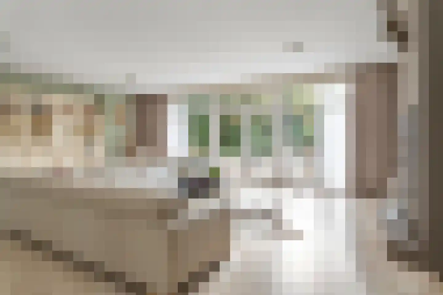 Nieuwe Weteringseweg 68 Groenekan thumbnail 7