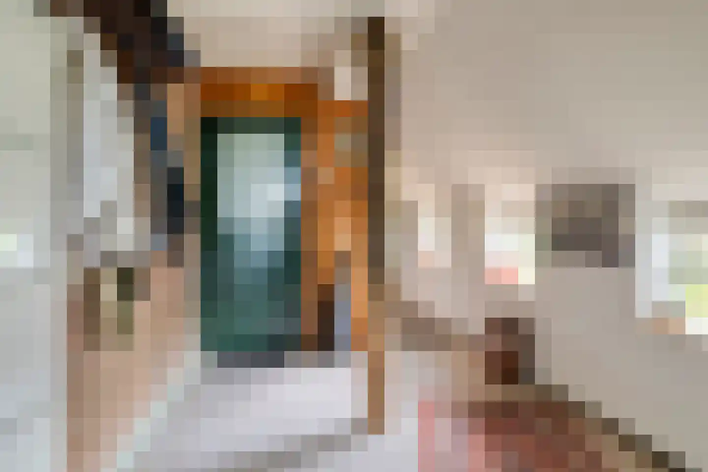 Nieuwe Wijkje 7 Smilde thumbnail 10