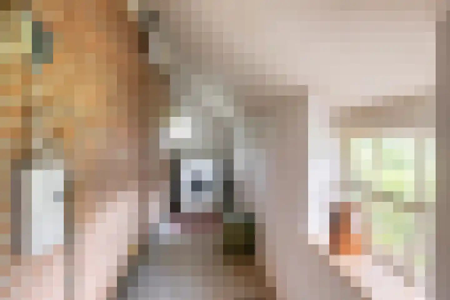 Nieuwe Wijkje 7 Smilde thumbnail 11