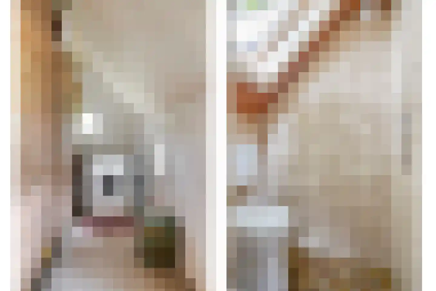 Nieuwe Wijkje 7 Smilde thumbnail 13