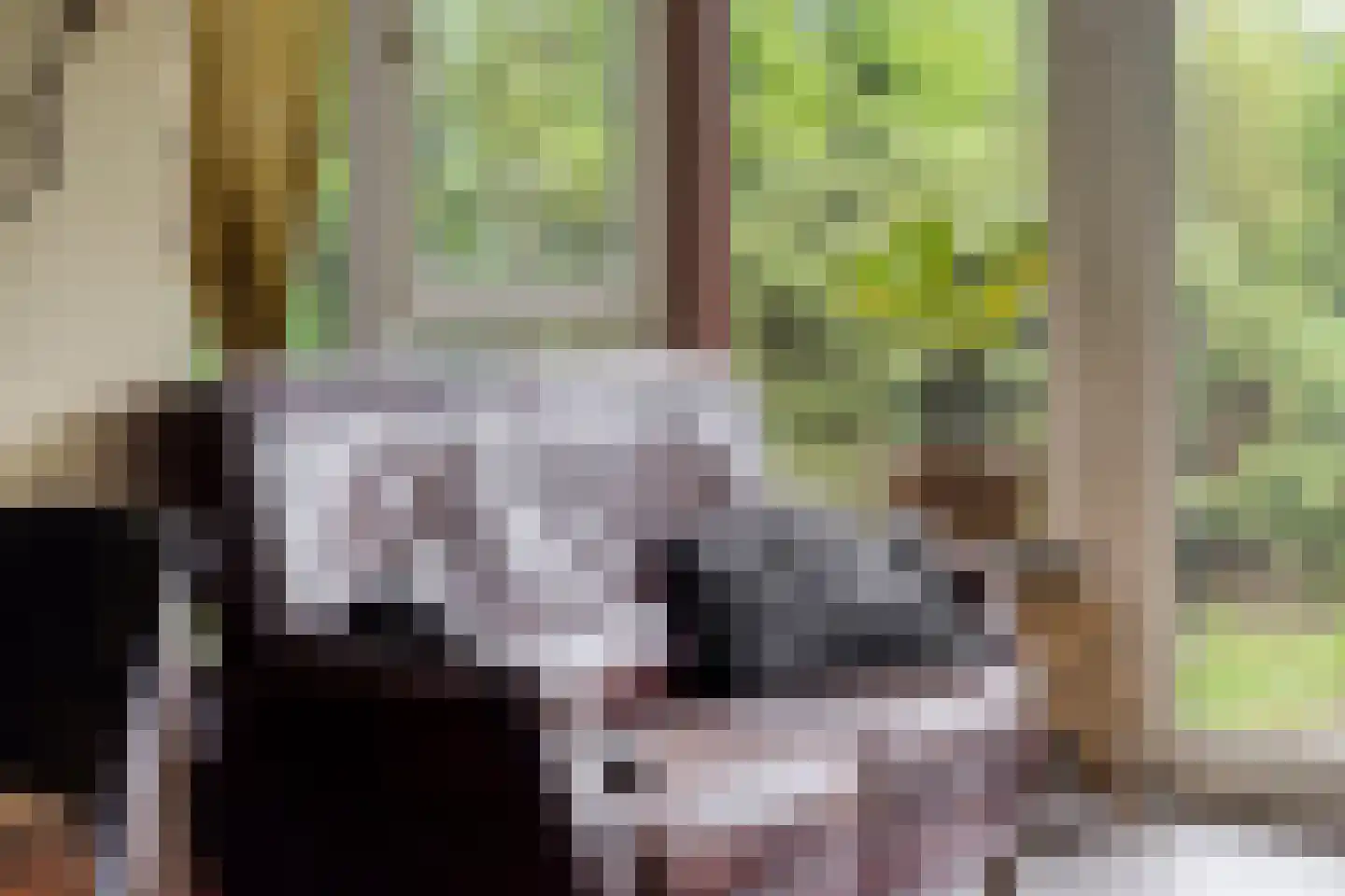 Nieuwe Wijkje 7 Smilde thumbnail 17