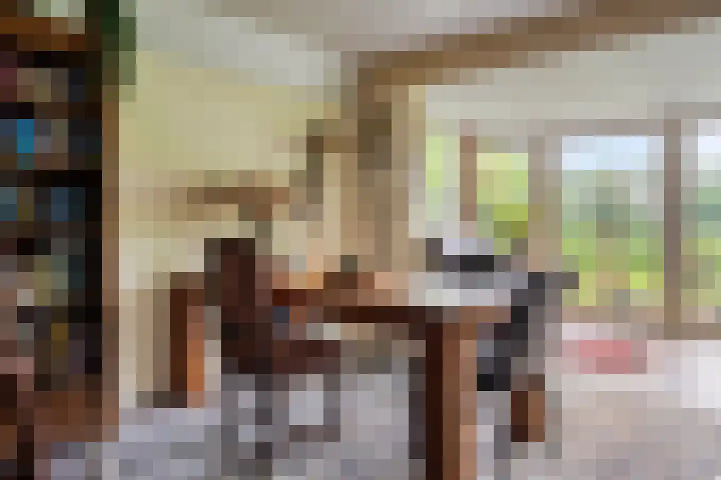 Nieuwe Wijkje 7 Smilde thumbnail 23