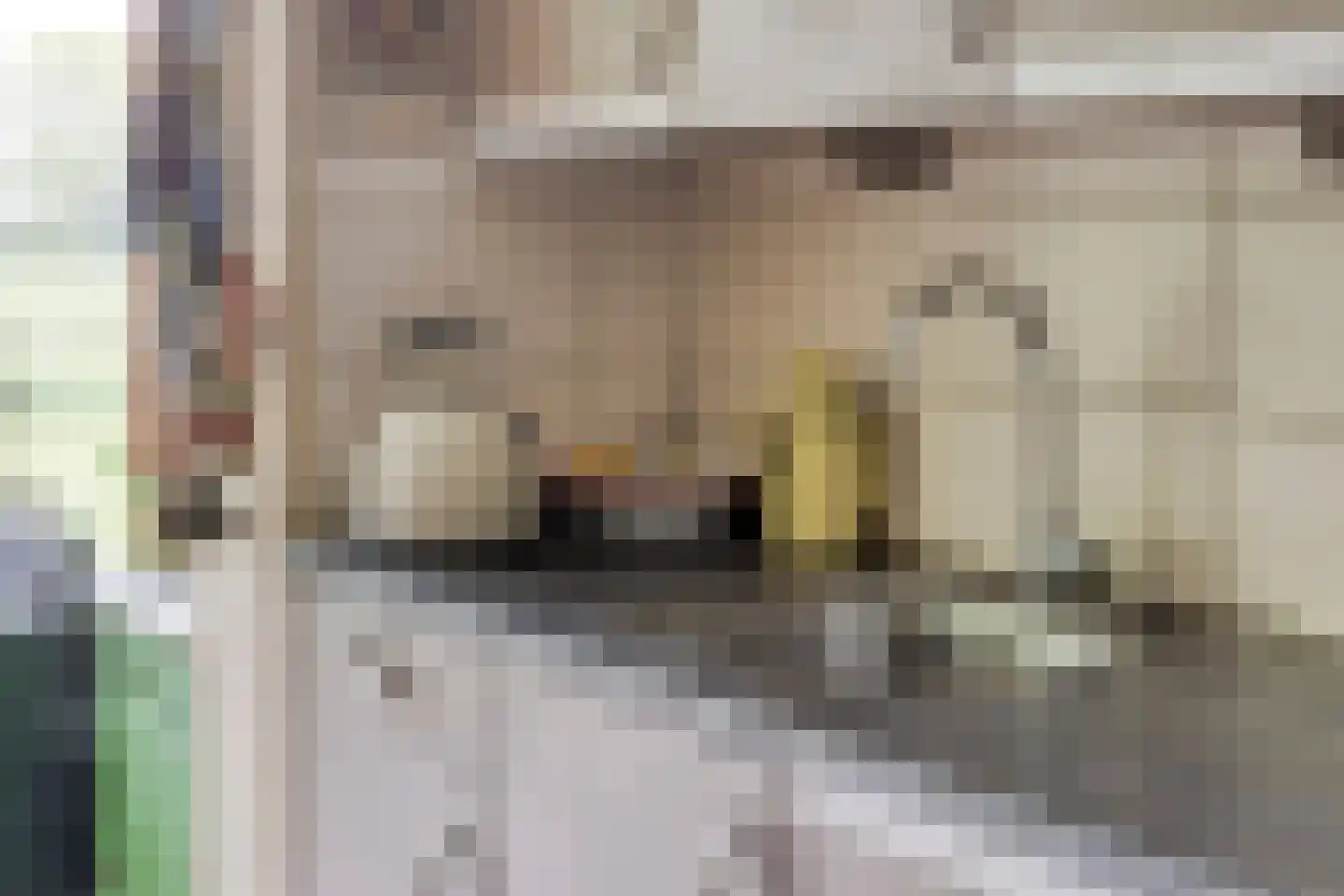 Nieuwe Wijkje 7 Smilde thumbnail 29
