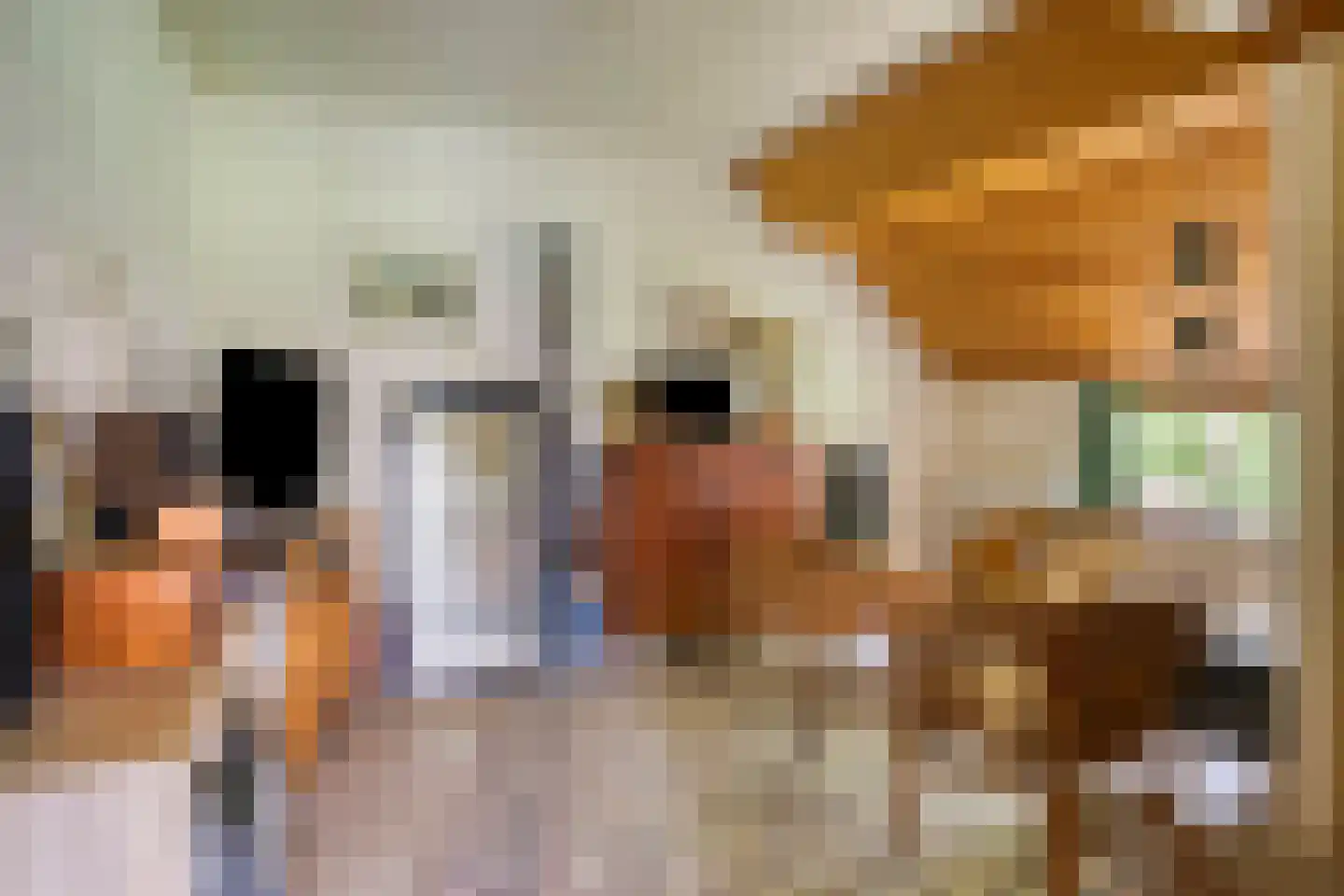 Nieuwe Wijkje 7 Smilde thumbnail 31