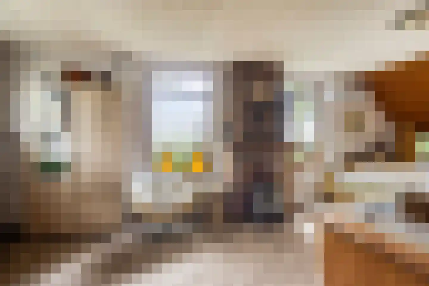 Nieuwe Wijkje 7 Smilde thumbnail 32