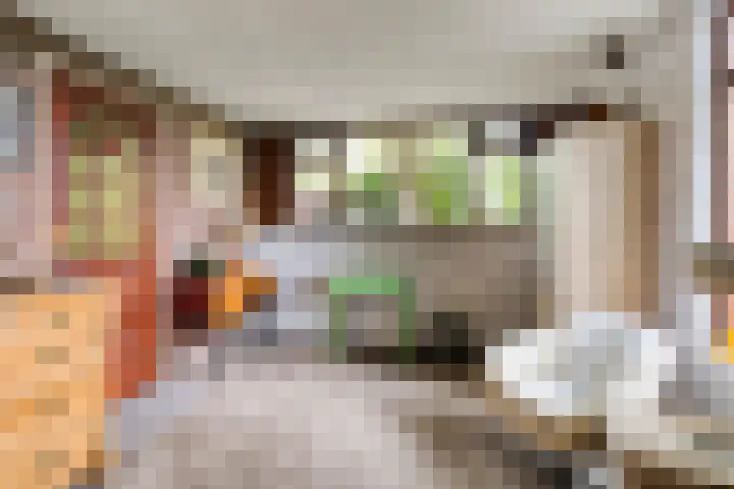 Nieuwe Wijkje 7 Smilde thumbnail 36