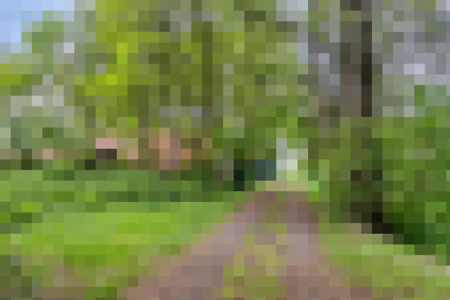 Nieuwe Wijkje 7 Smilde thumbnail 38