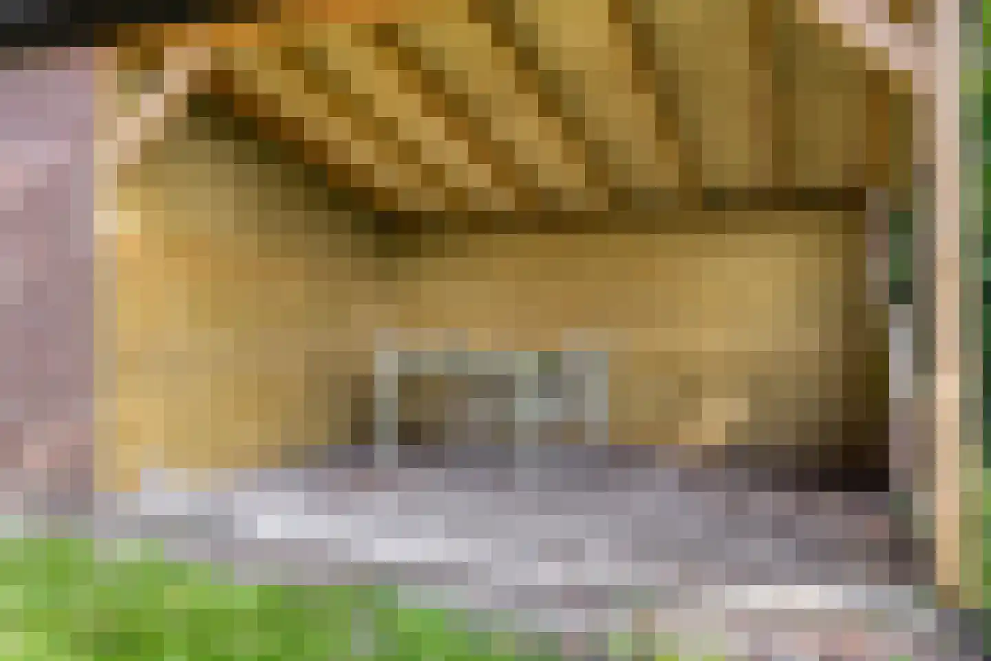 Nieuwe Wijkje 7 Smilde thumbnail 39