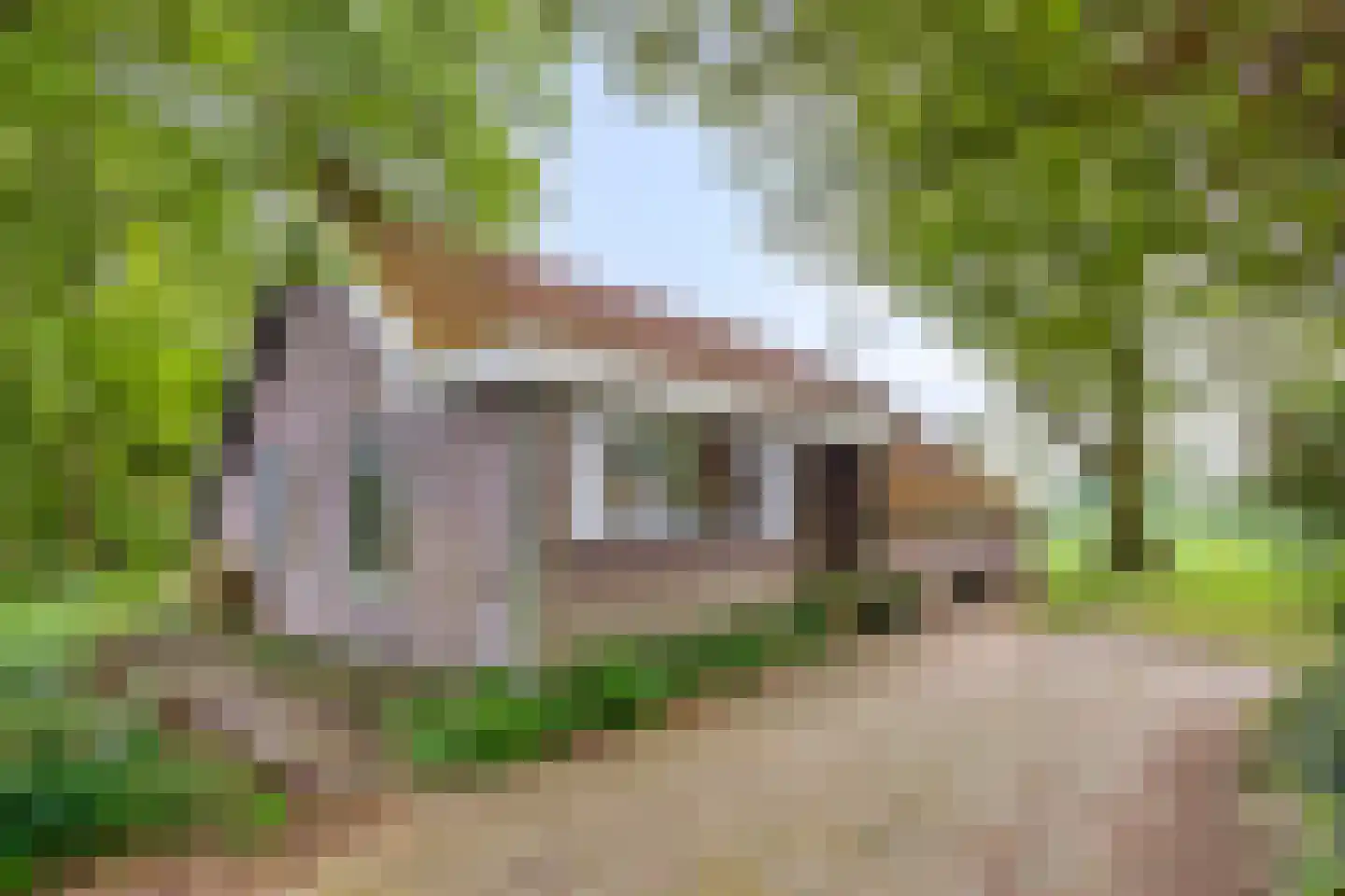 Nieuwe Wijkje 7 Smilde thumbnail 4