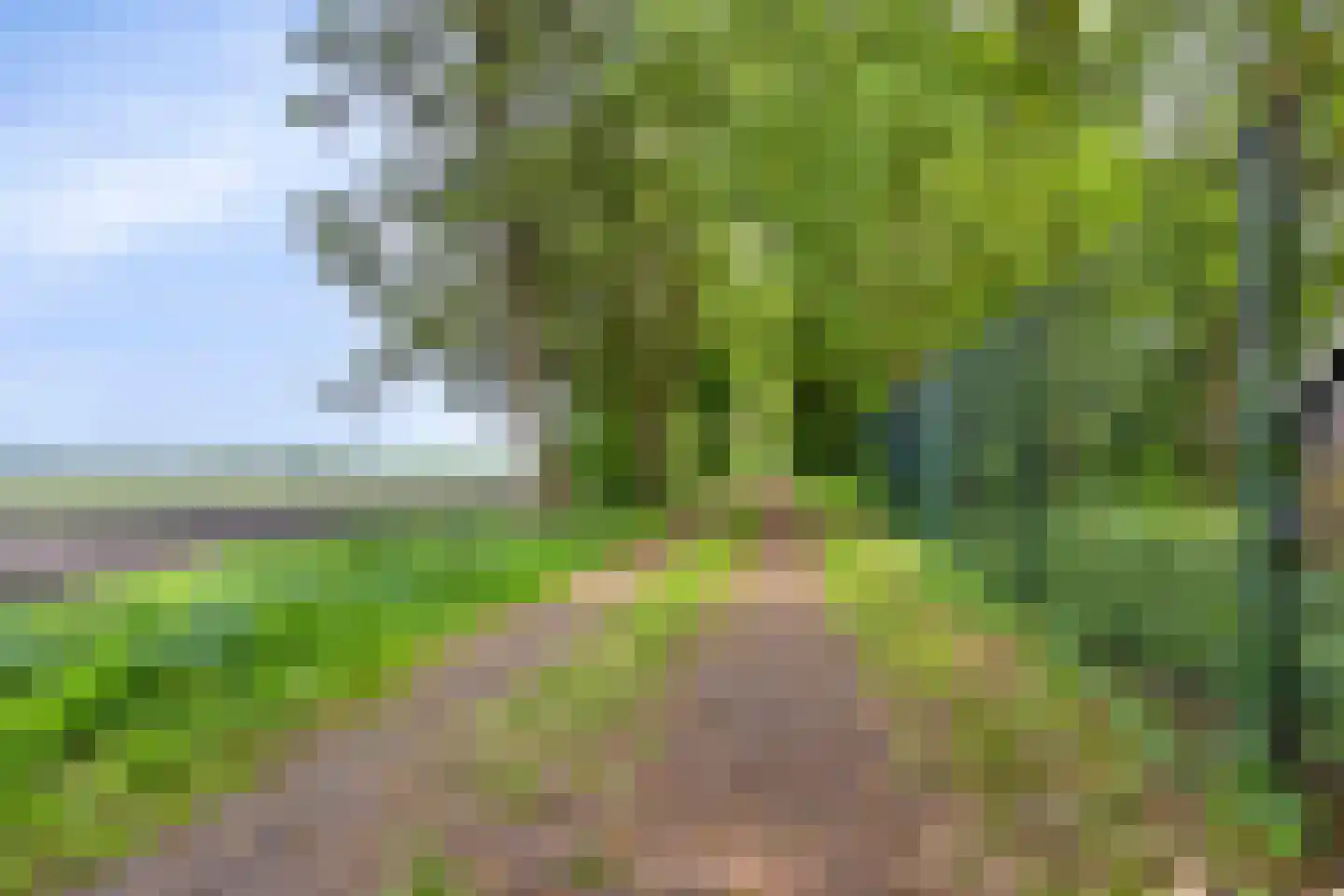 Nieuwe Wijkje 7 Smilde thumbnail 40