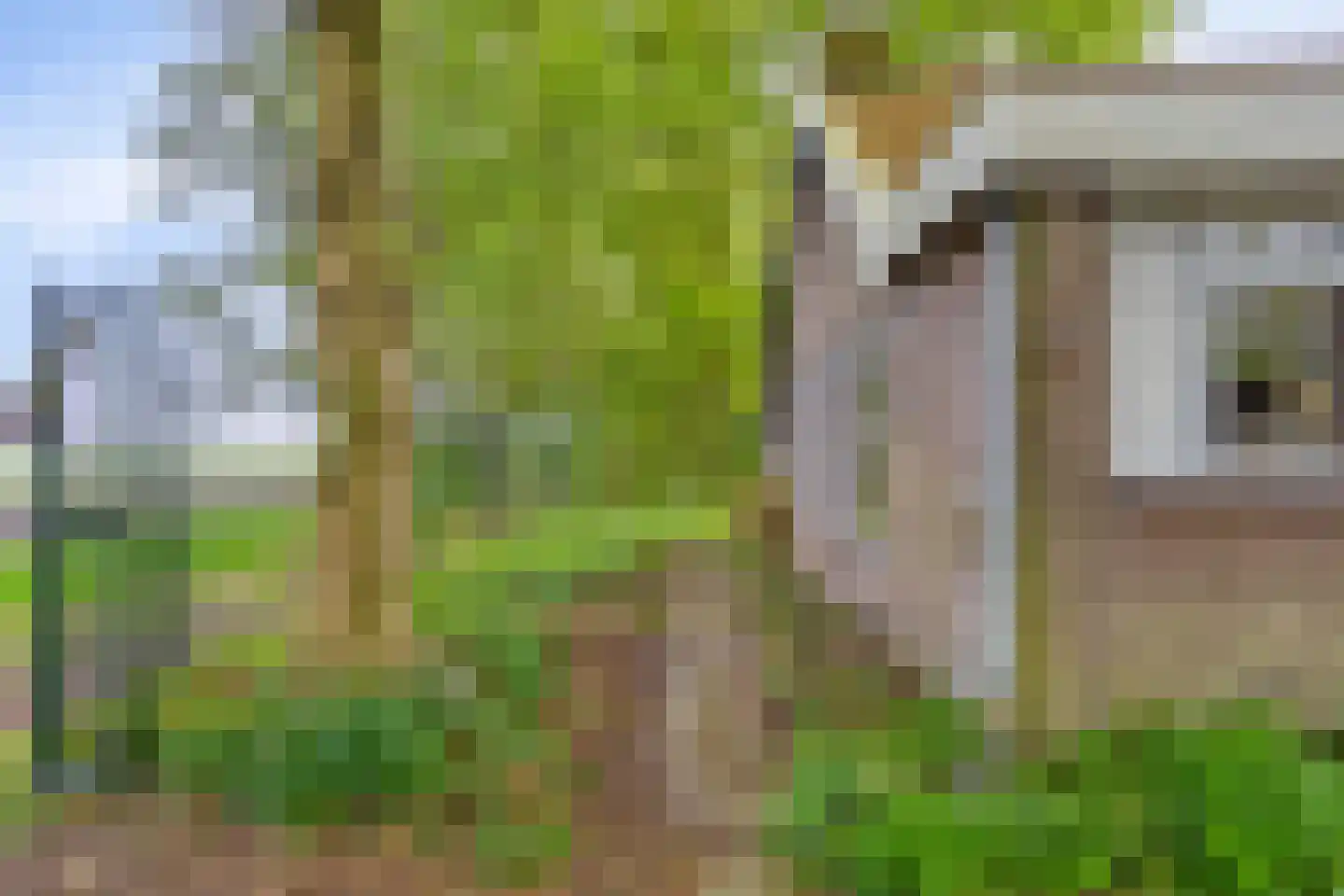 Nieuwe Wijkje 7 Smilde thumbnail 41