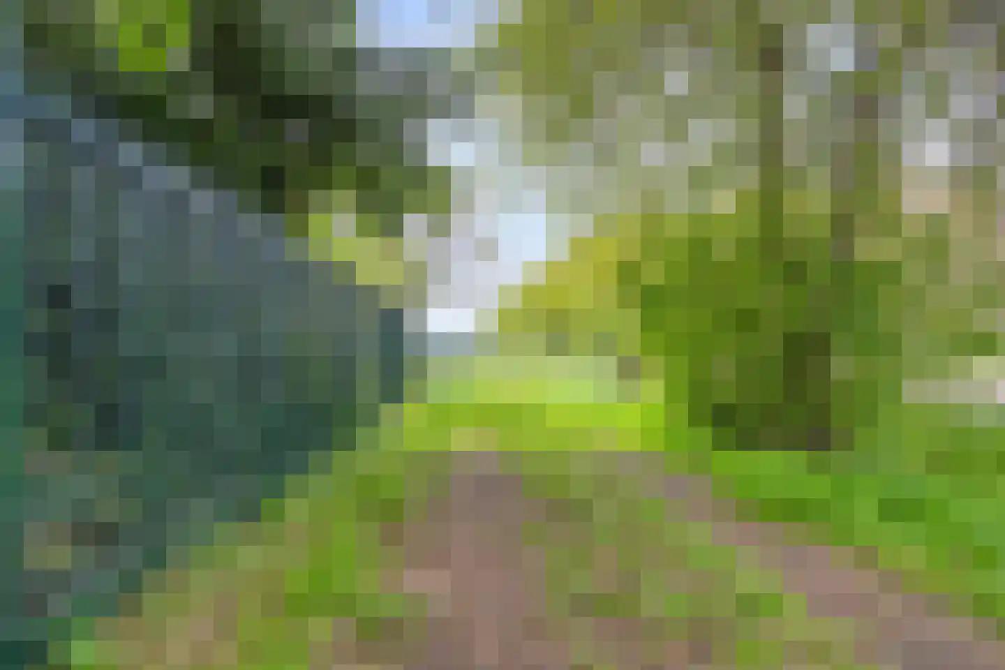 Nieuwe Wijkje 7 Smilde thumbnail 42