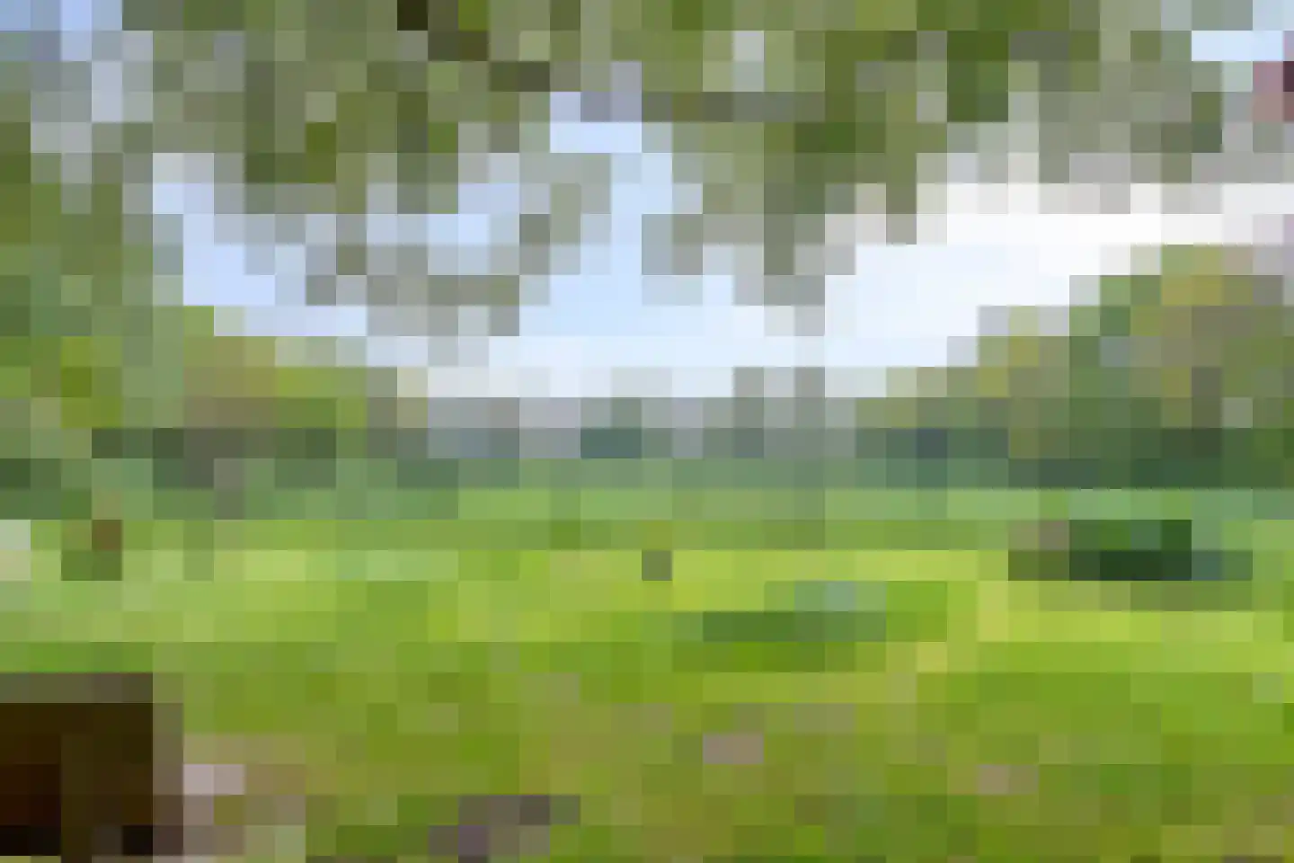 Nieuwe Wijkje 7 Smilde thumbnail 44