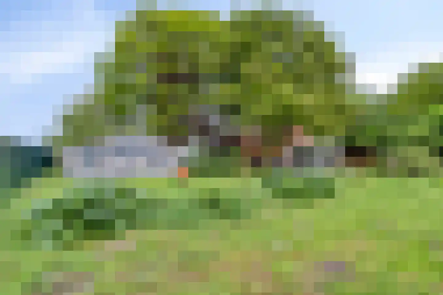 Nieuwe Wijkje 7 Smilde thumbnail 46