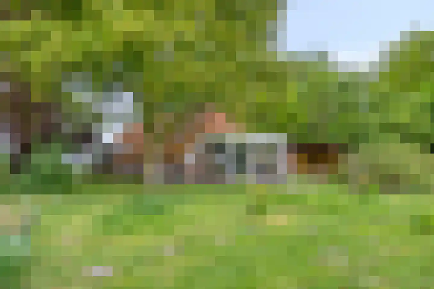 Nieuwe Wijkje 7 Smilde thumbnail 47