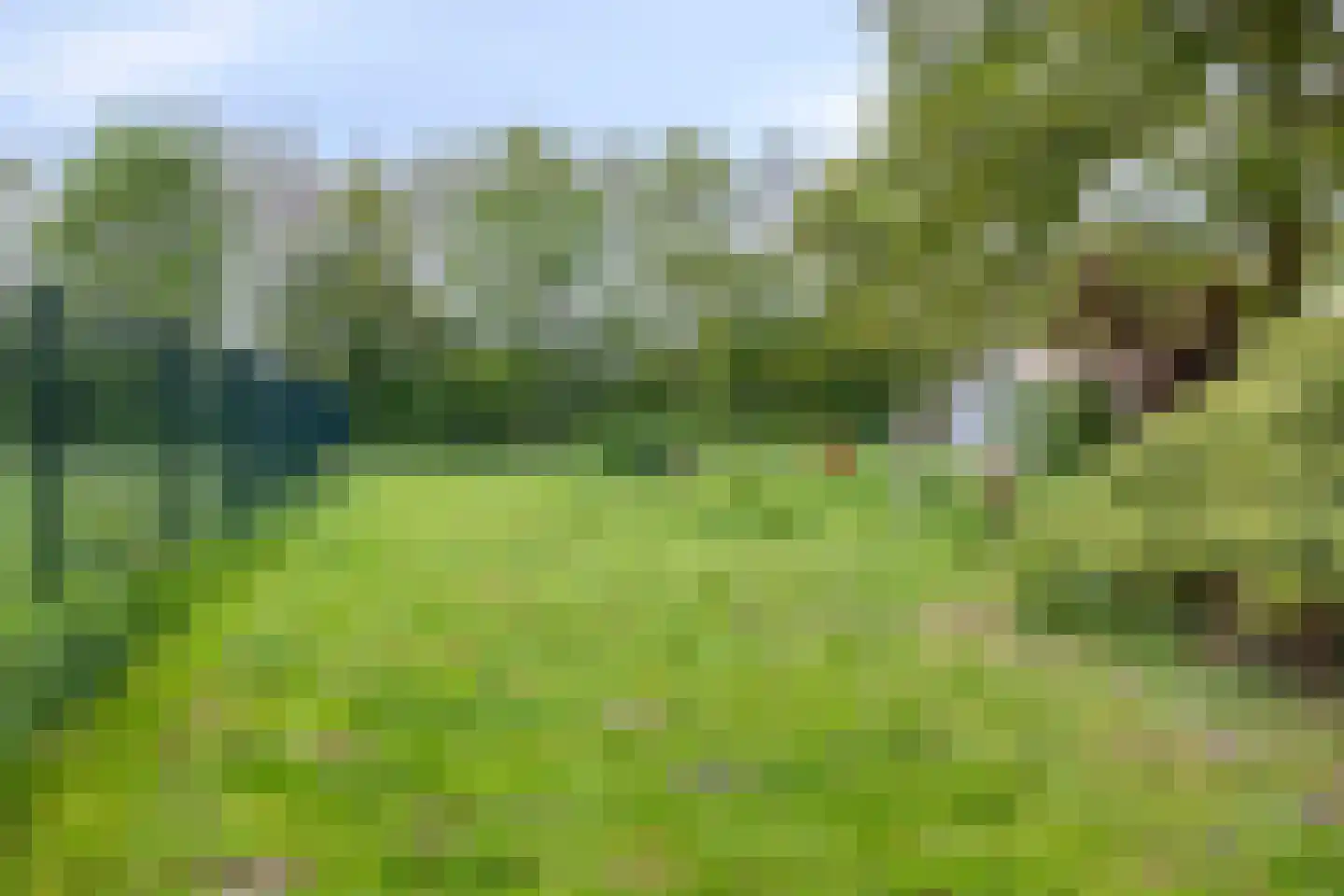 Nieuwe Wijkje 7 Smilde thumbnail 49