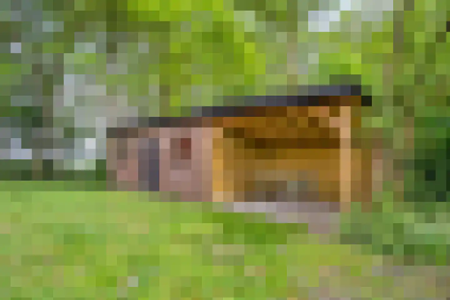 Nieuwe Wijkje 7 Smilde thumbnail 51