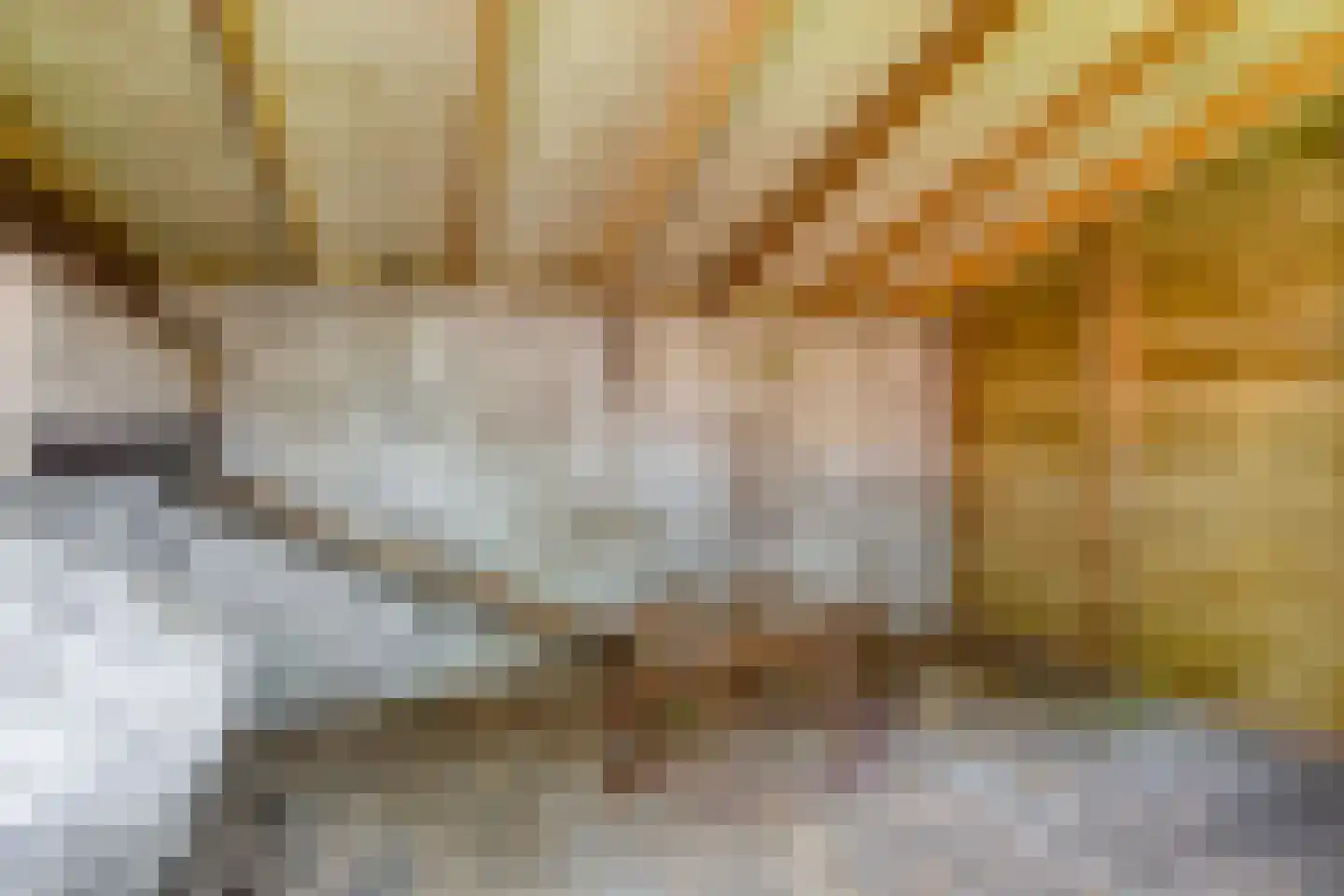 Nieuwe Wijkje 7 Smilde thumbnail 53