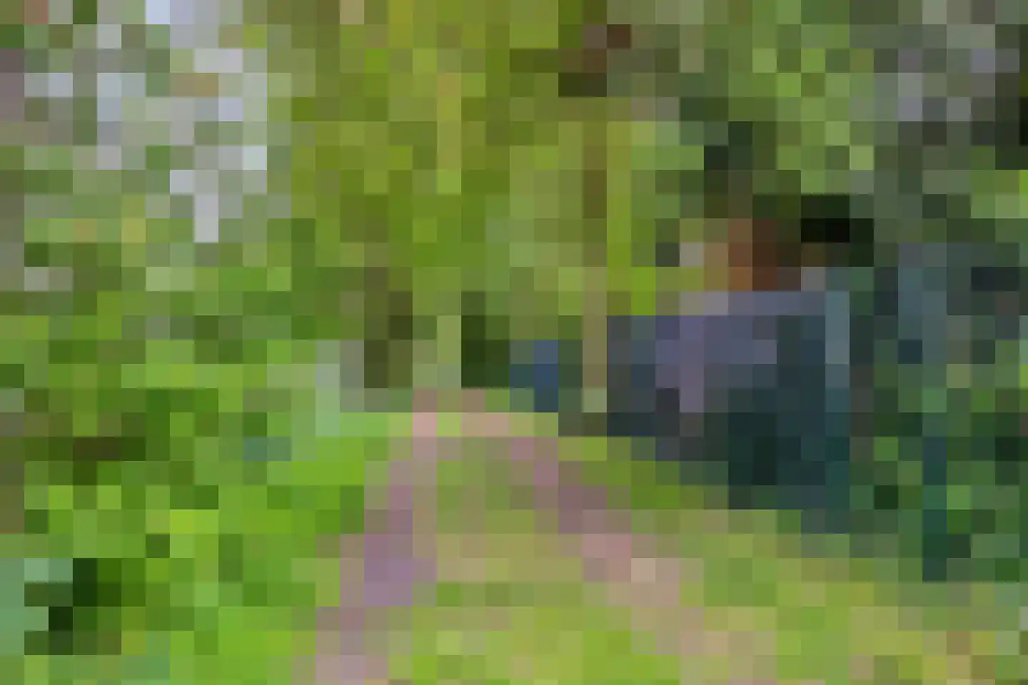 Nieuwe Wijkje 7 Smilde thumbnail 56