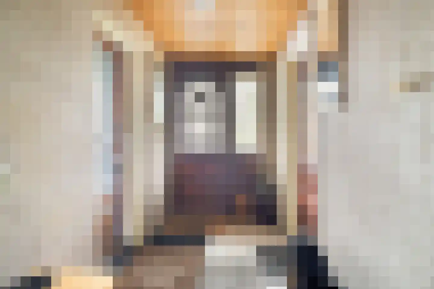 Nieuwe Wijkje 7 Smilde thumbnail 7