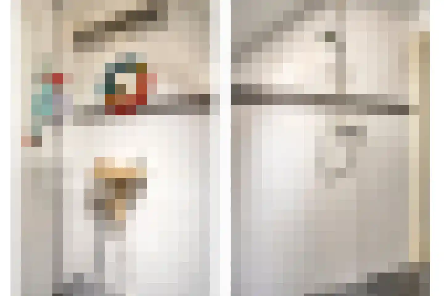 Nieuwe Wijkje 7 Smilde thumbnail 9