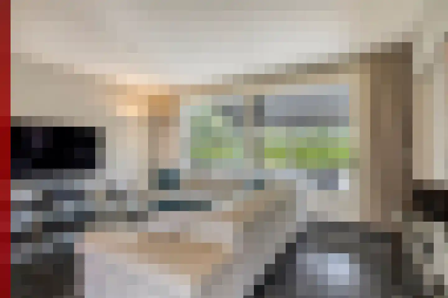 Nieuwe Zandstraat 3 Halsteren thumbnail 10